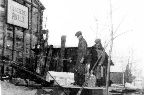 Owl Image