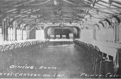 Owl Image