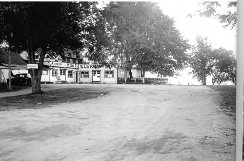 Owl Image
